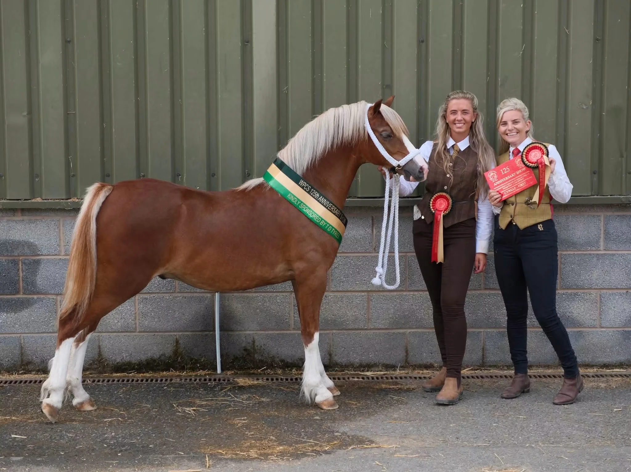 Albert with his handlers at the WPCS anniversary show