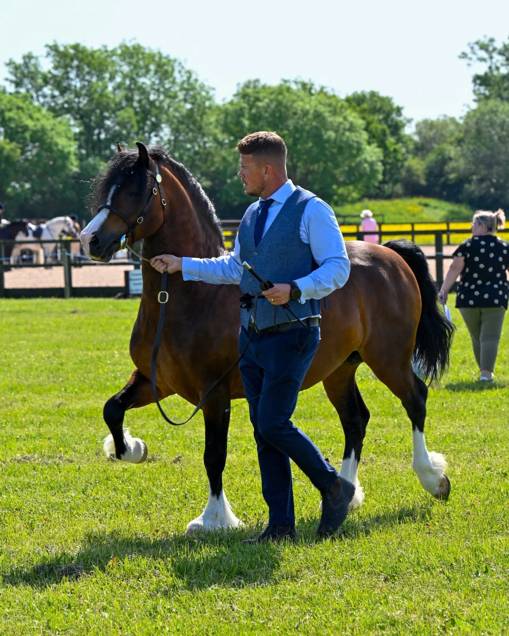 Thorneynewside Reload (Ronnie) — photograph 4