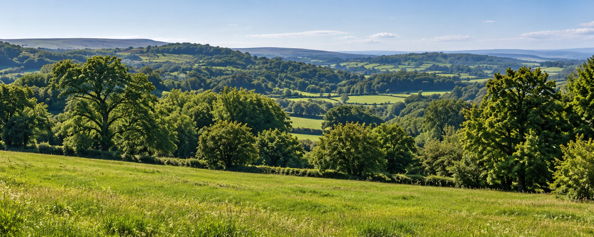 Temporary recreation of the West Yorkshire countryside view